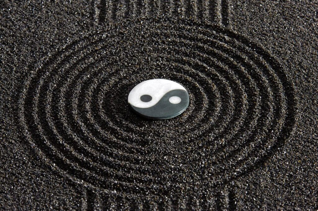 benessere simbolo yin yang