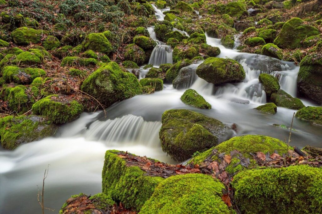 natura equilibrio e benessere